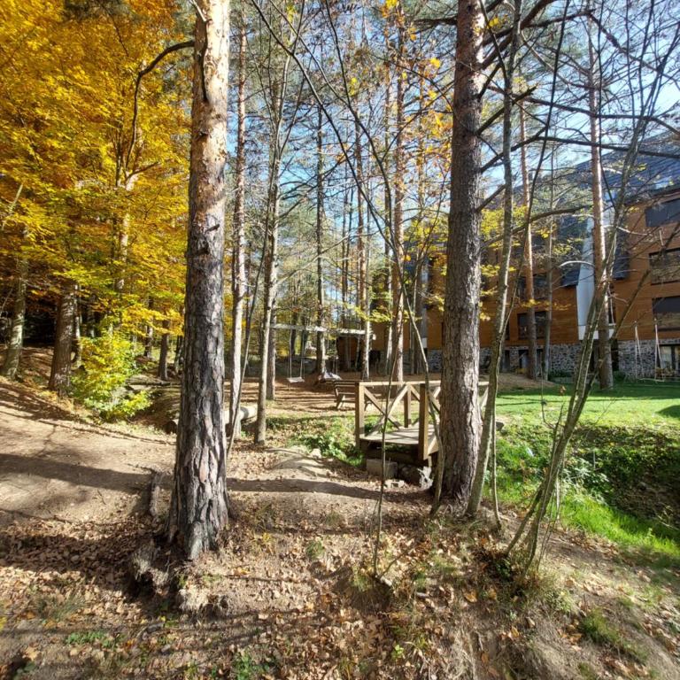 Apartman Infinity MD Divcigora - Apartman sa 1 Spavaćom Sobom - 34