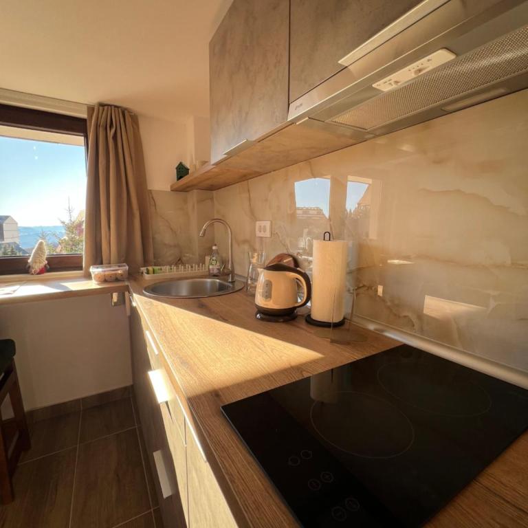 Apartments SKY Kopaonik - One-Bedroom Apartment with Balcony and Mountain View - 19
