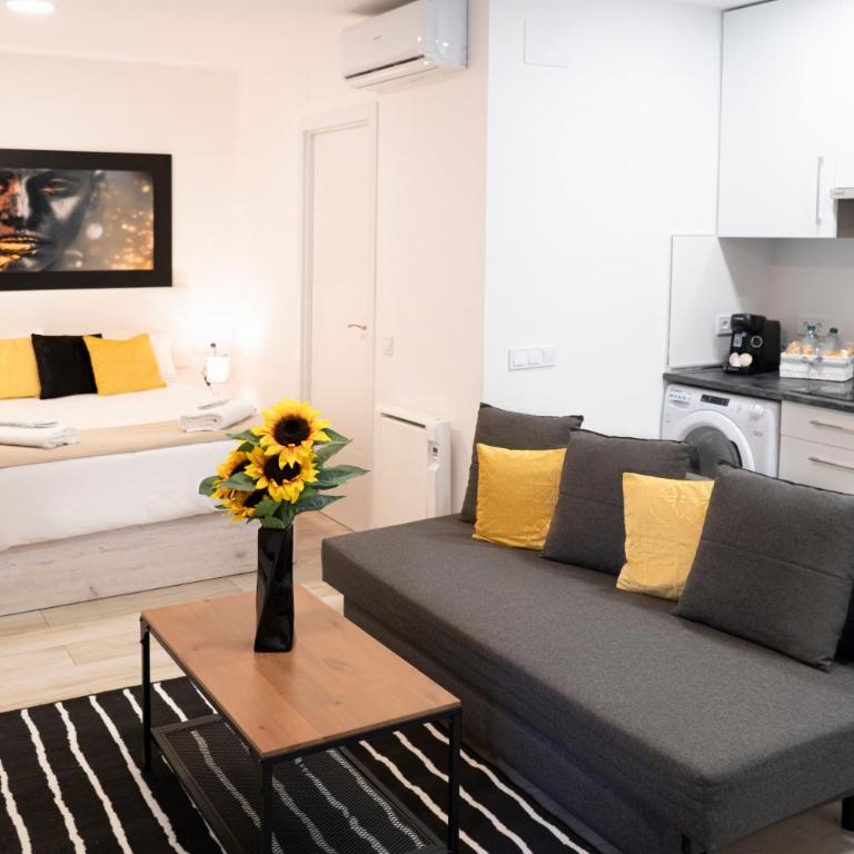 Oshun Plaza Castilla - Standard Studio - 1