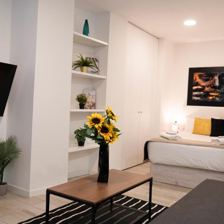 Oshun Plaza Castilla - Standard Studio - 9