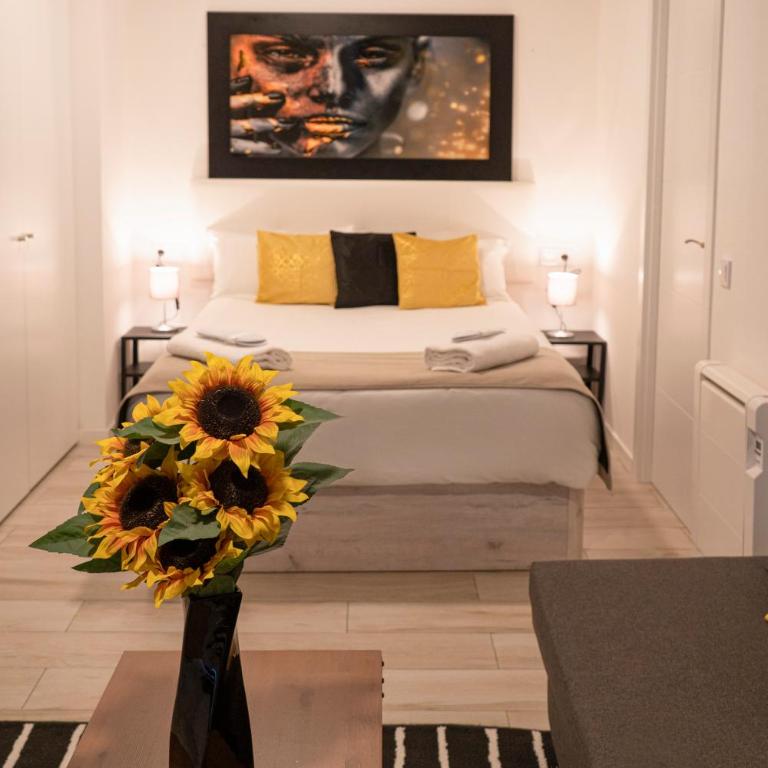 Oshun Plaza Castilla - Standard Studio - 4