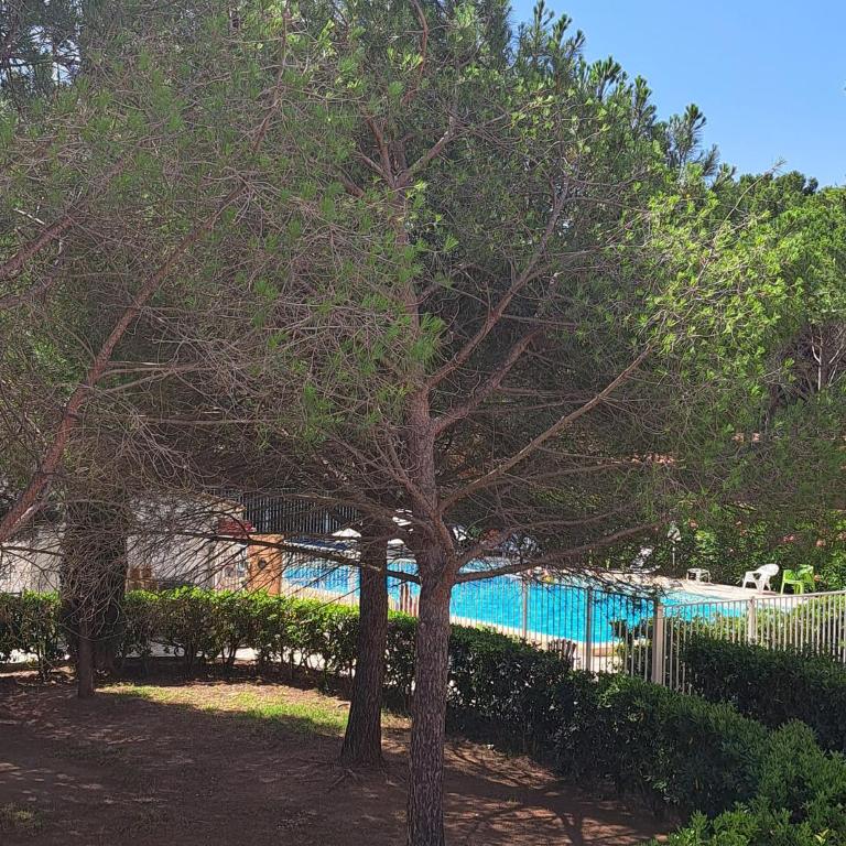 cap ou pas cap - One-Bedroom Apartment - 5