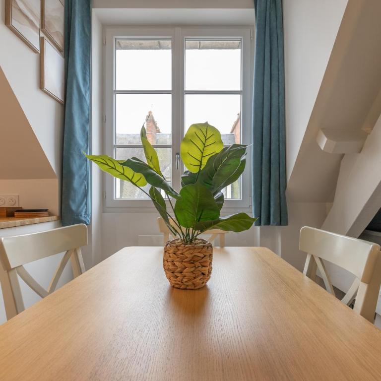 Appartement duplex rénové vue sur la Loire - Appartamento con 1 Camera da Letto - 7