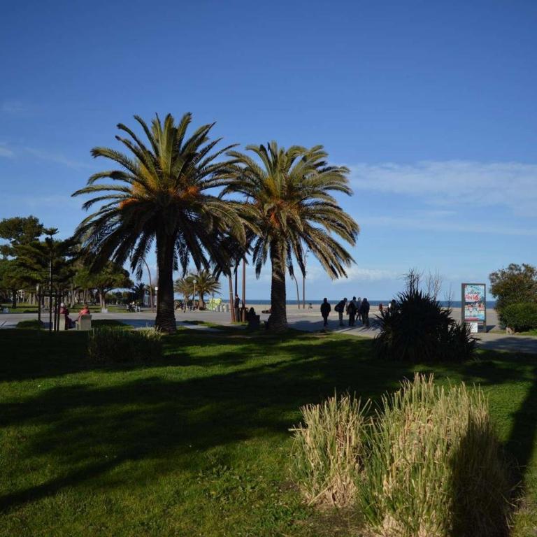 Appartement deux pièces - Argelès sur mer - AR110-007 - Apartment - 15