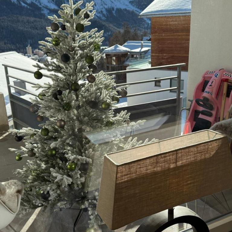Fantastic Panorama flat in Sankt Moritz - Apartment mit 1 Schlafzimmer - 20