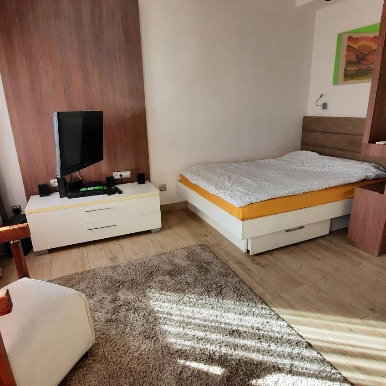 Exclusive Serviced Apartment in City Center - Apartman sa 1 Spavaćom Sobom - 24