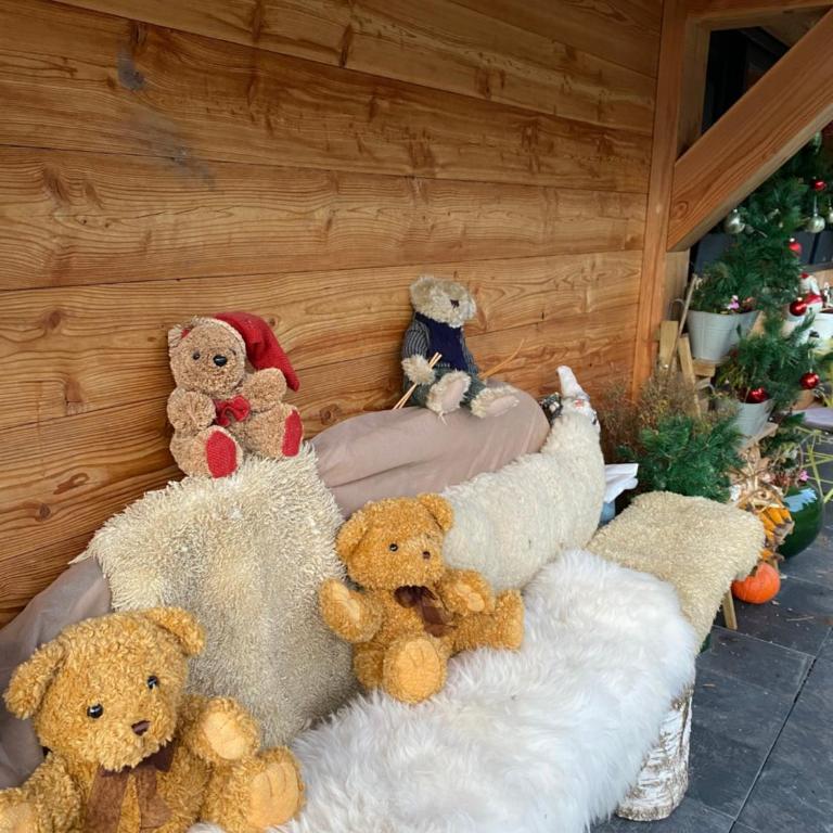 Chalet familial Bergerie - Chalet mit 3 Schlafzimmern - 34