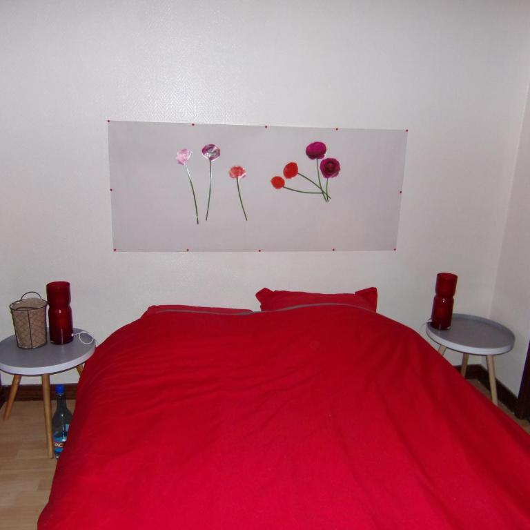 petit appartement cosy - Appartement 2 Chambres - 13