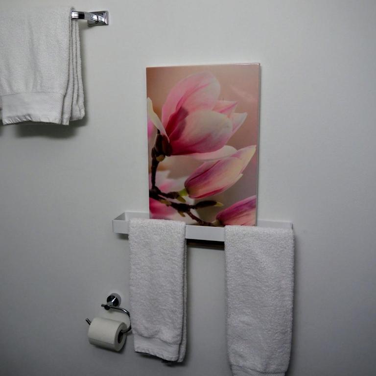 Chesa Sper l'Ovel Brail - Apartment - 33