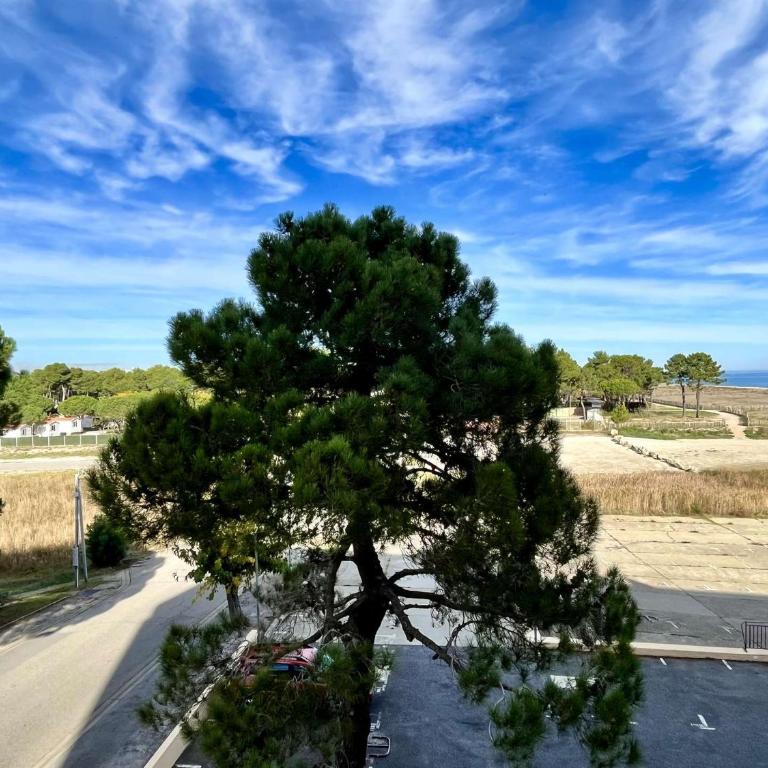 Appartement 2 pièces 4 couchages ARGELES SUR MER AR600-033 - Appartamento - 3