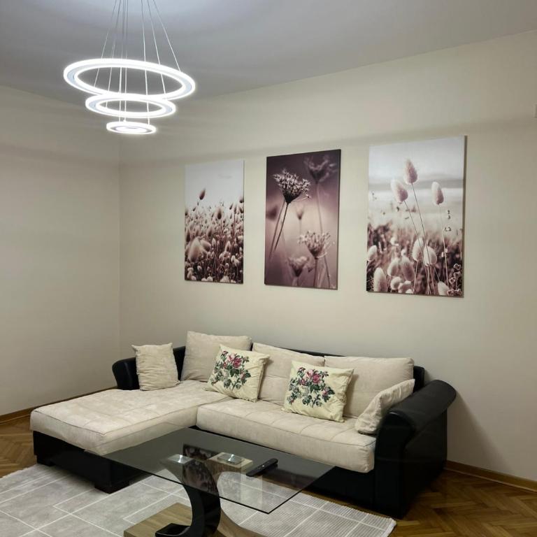 Beograd Lola - Apartman sa 1 Spavaćom Sobom - 3
