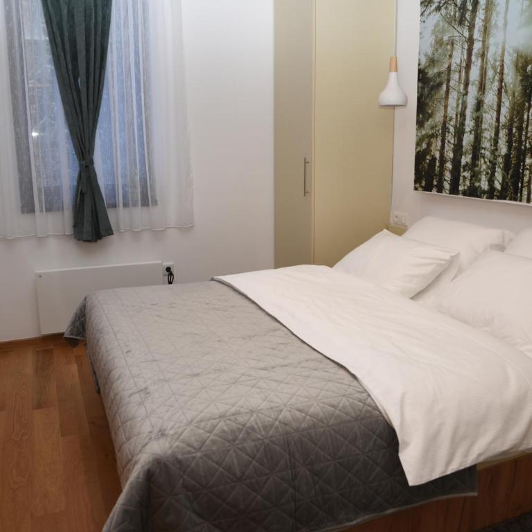 Zlatni Javor Twins - One-Bedroom Apartment - 9