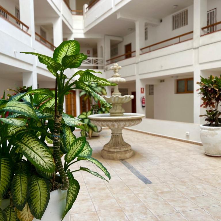 Los Cristianos 1 Bed Apartment - Apartamento de 1 dormitorio - 22