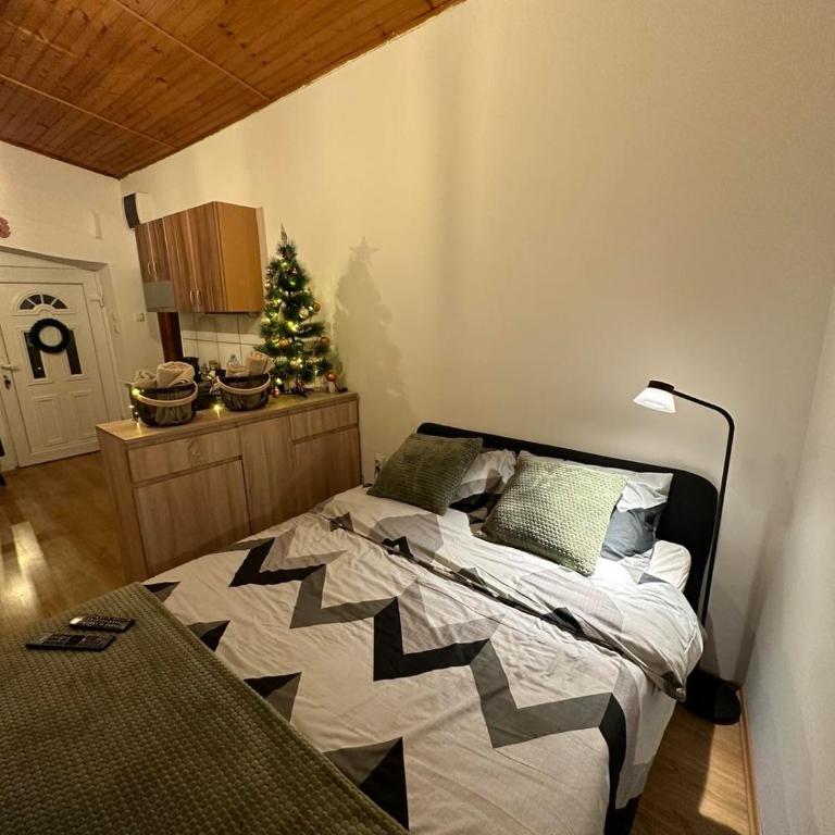 Apartman For you - Standardni Studio - 3