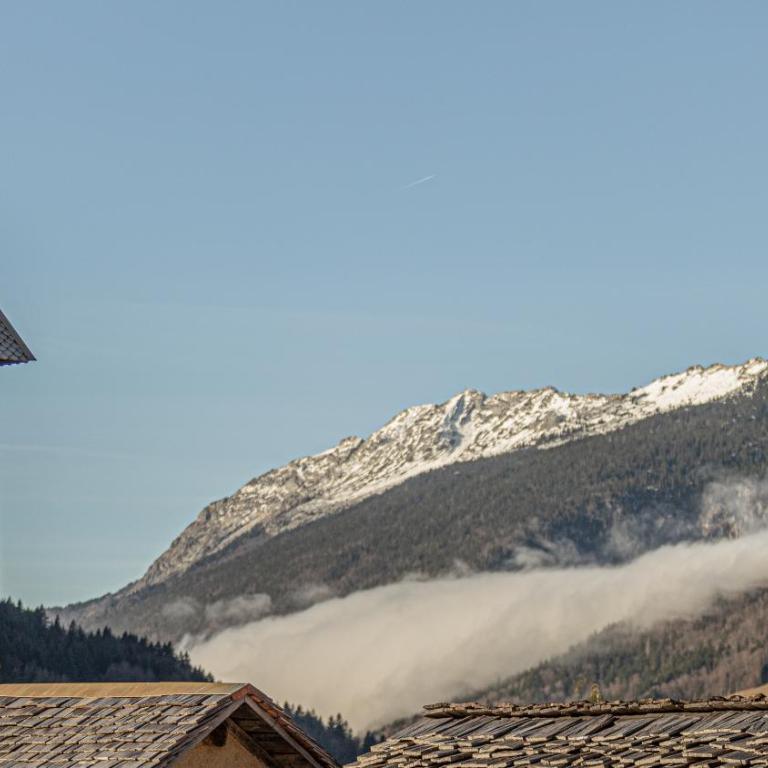 Le Refuge Alpin - Appartement 3 Chambres - 38