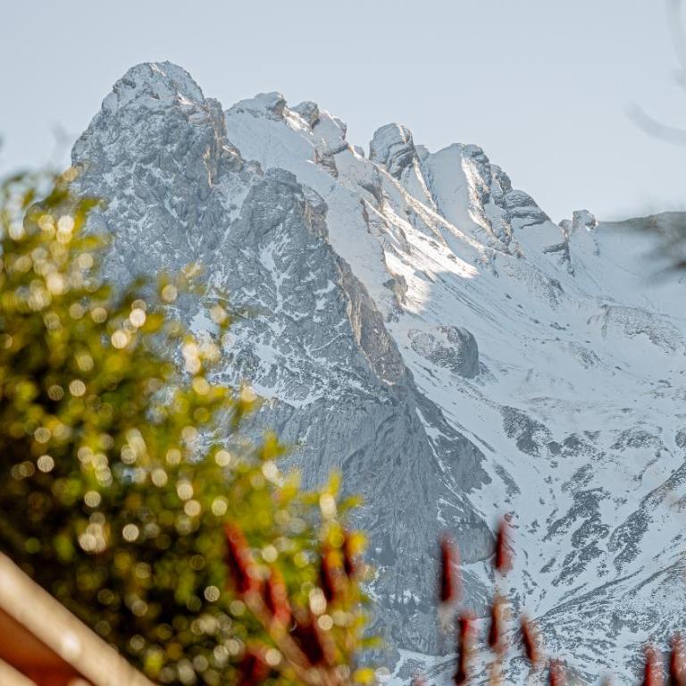 Le Refuge Alpin - Appartement 3 Chambres - 24