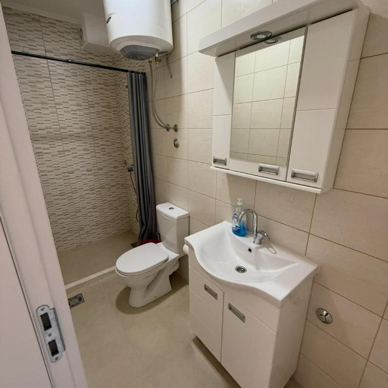 Vila Metohija - Double or Twin Room - 1