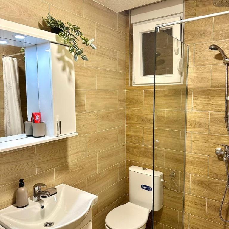 Pine forest view apartment - Apartman sa 2 Spavaće Sobe - 14
