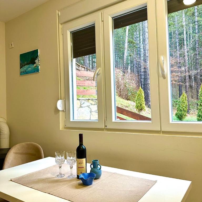 Pine forest view apartment - Apartman sa 2 Spavaće Sobe - 15