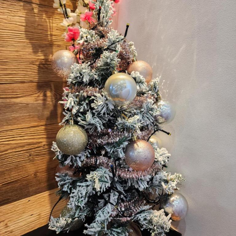 Logement à Megève avec Jardin - Appartement 1 Chambre - 17