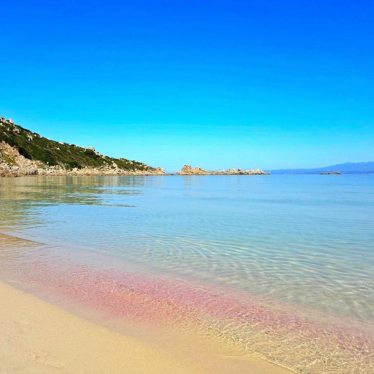 Nicola's Luxury Sardinia - Appartamento con 1 Camera da Letto - 48