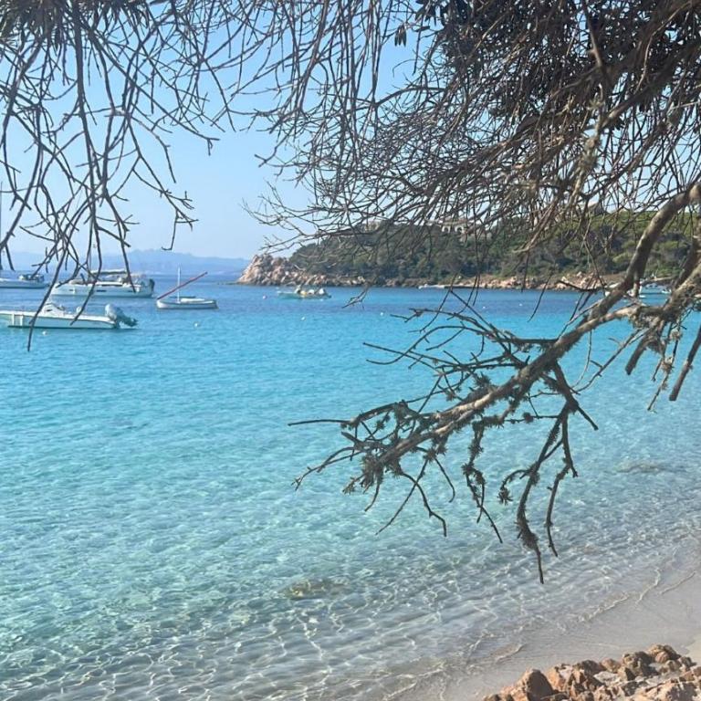 Nicola's Luxury Sardinia - Appartamento con 1 Camera da Letto - 51