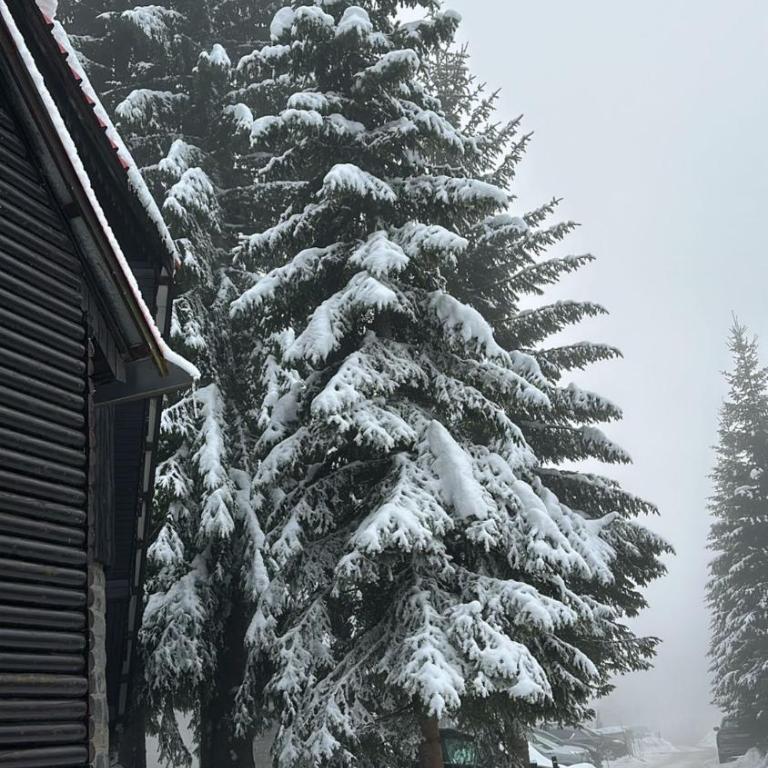 MONTANA apartment 21 - Apartment with Mountain View - 23