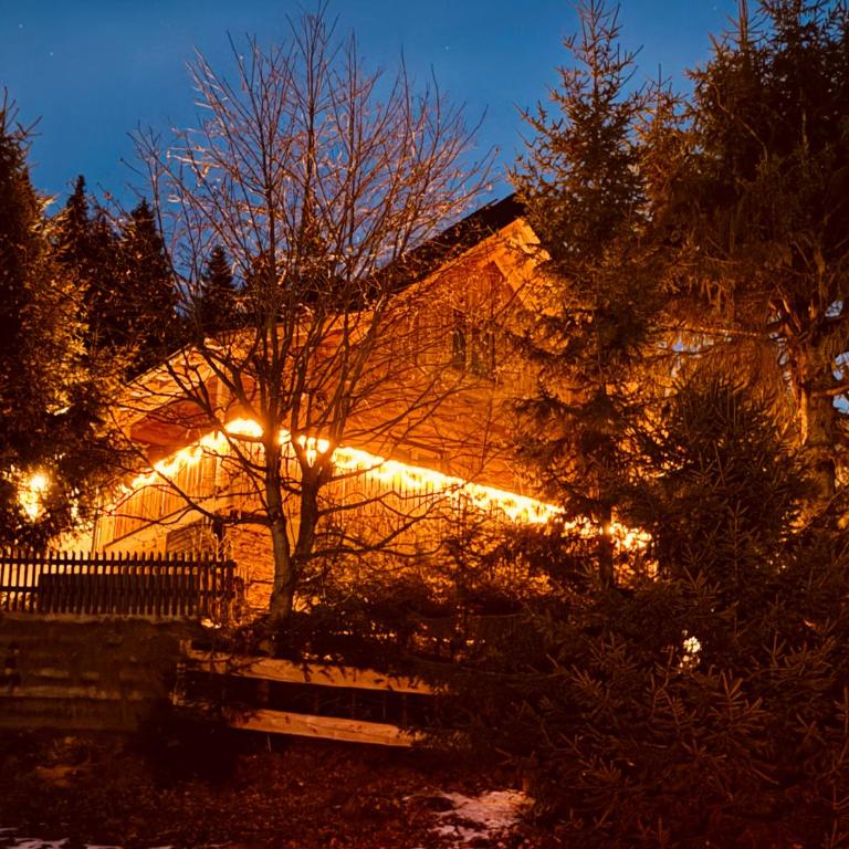 ALMNEST - LACHTAL - Ferienhaus - 45