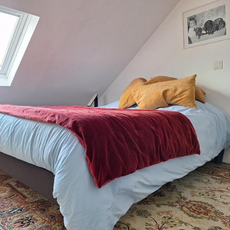 Appartement typique Rouen centre avec parking gratuit - Appartement - 23