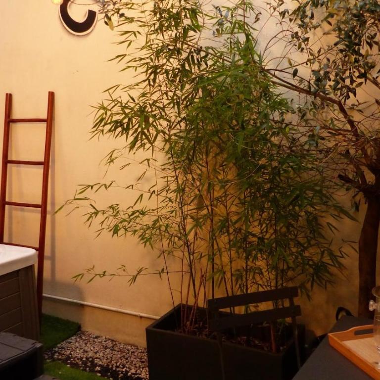 CosyRouen Jacuzzi Parking gratuit - Appartement avec Terrasse - 9