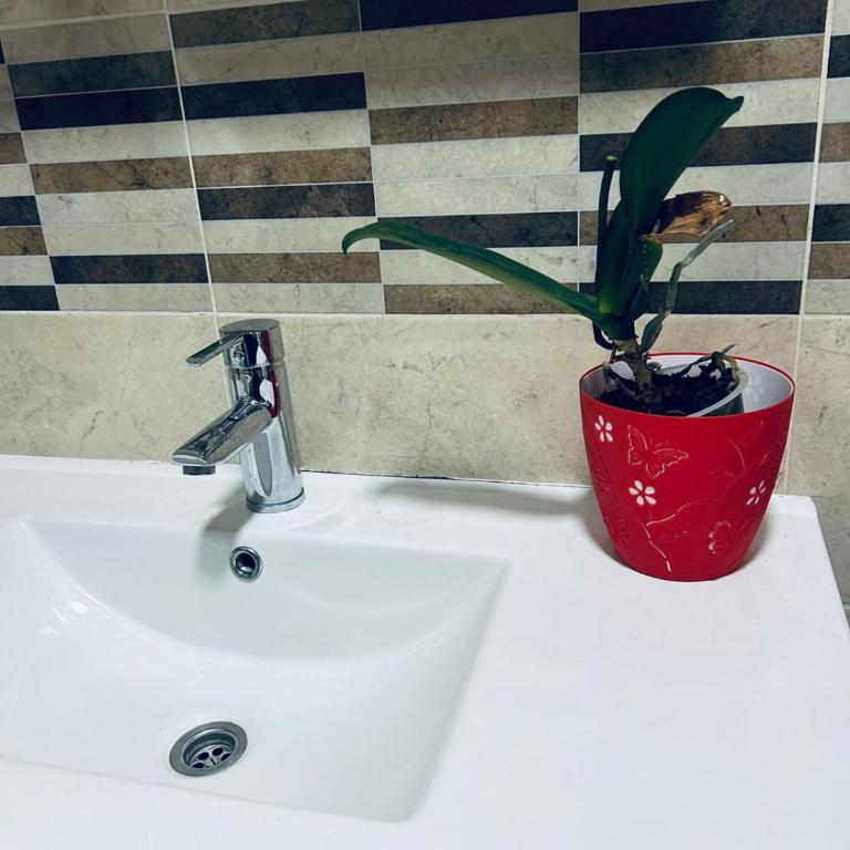 Stan u Centru - One-Bedroom Apartment - 14