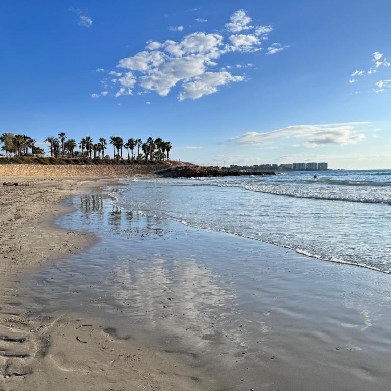 Gound Floor Bungalow Jumilla III Playa Flamenca - Apartamento de 2 dormitorios - 24