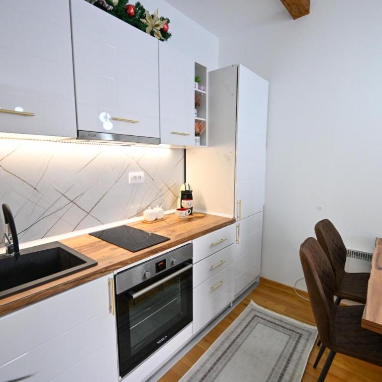 Borova Oaza - Apartman sa 1 Spavaćom Sobom - 3