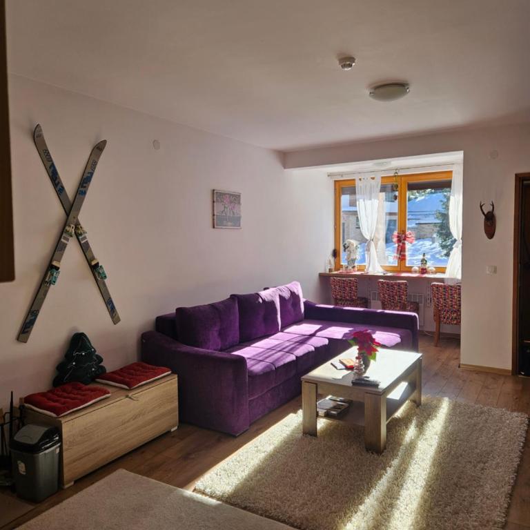 Apartment Violet Jahorina - Apartman sa 1 Spavaćom Sobom - 63
