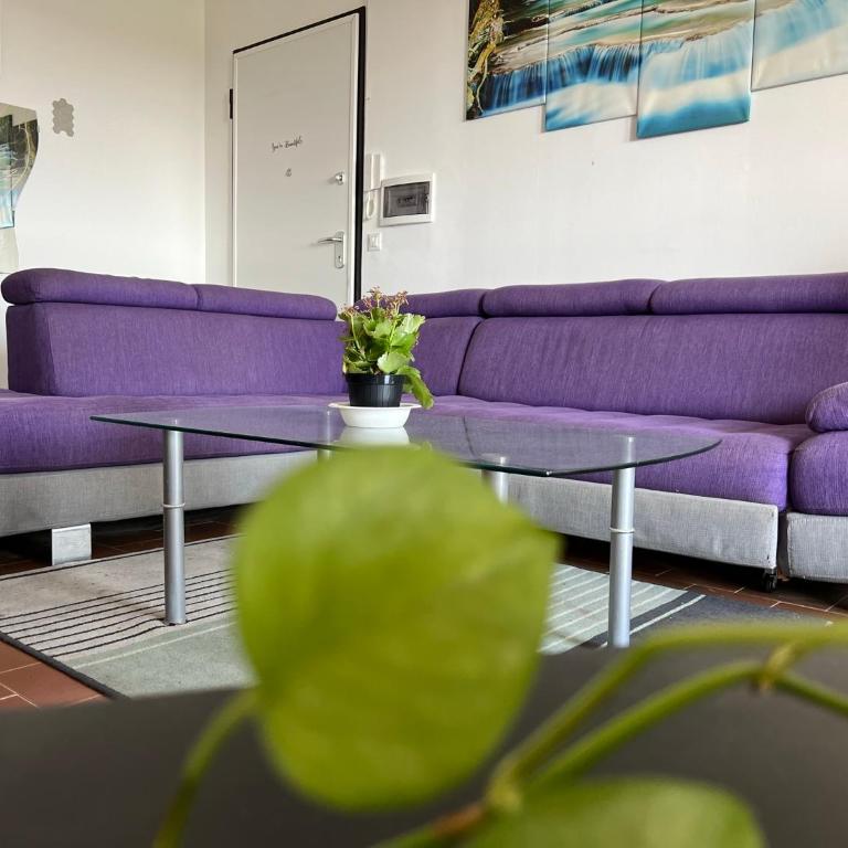 Friends and Family - Habitación Familiar - 5