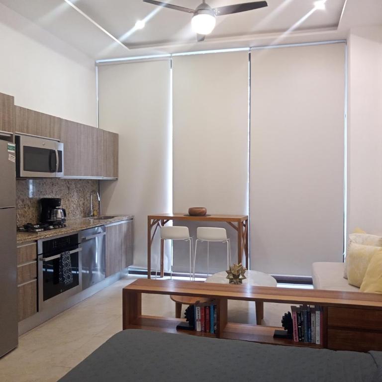 Penthouse Studio 2 blocks from Los Muertos beach - Habitación Doble con balcón - 30