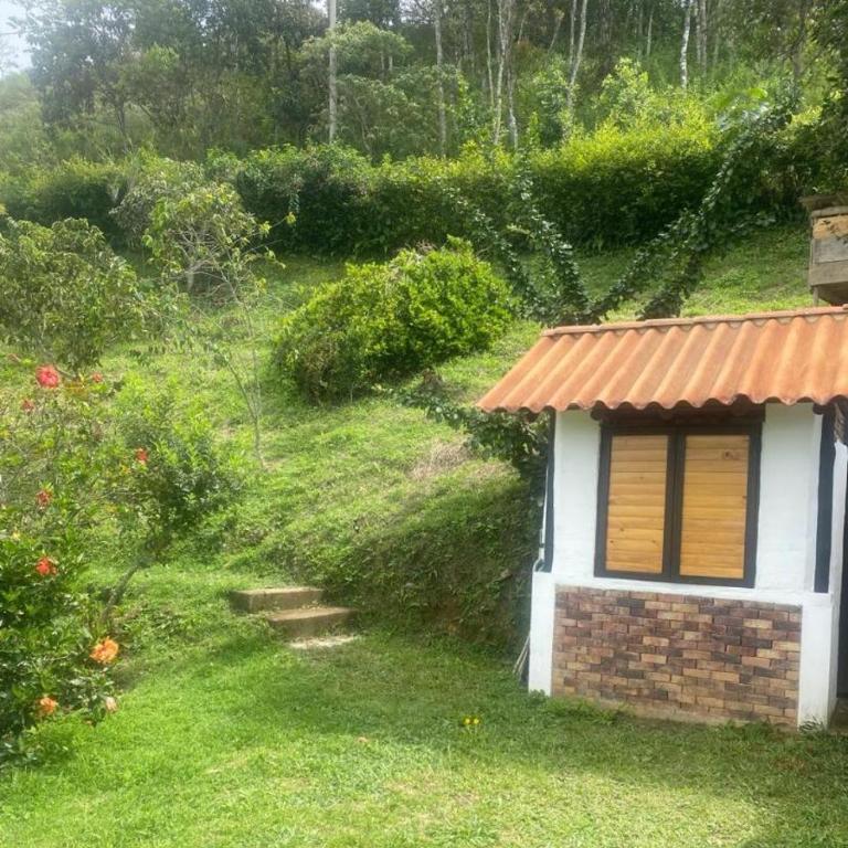 Finca Ecoturistica VillaManuela - Casa de 3 dormitorios - 9