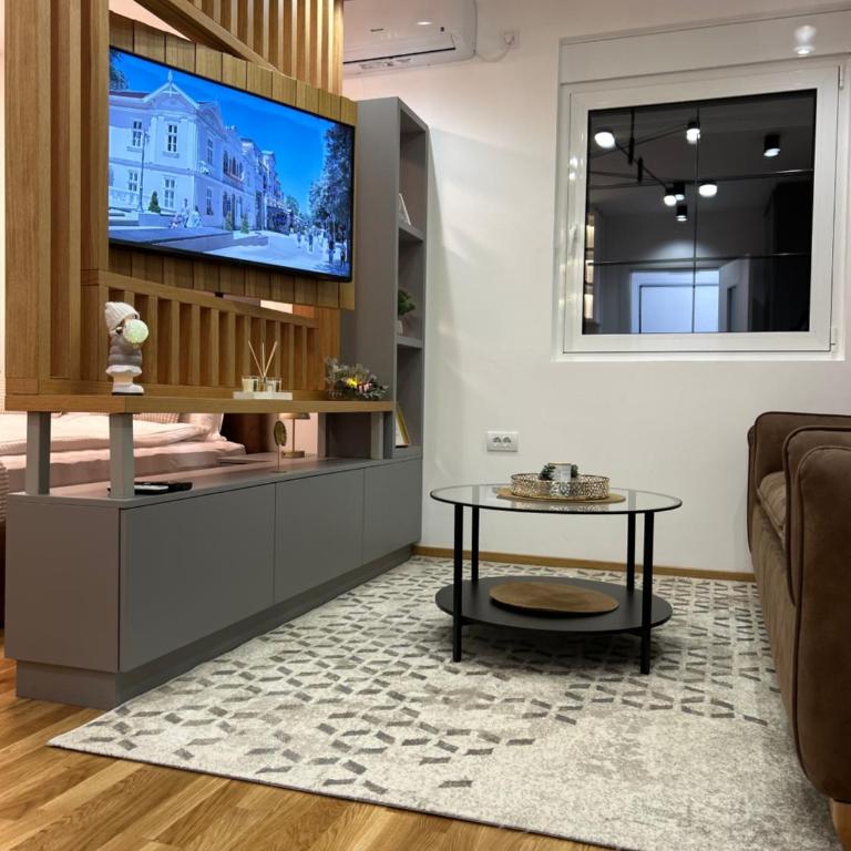Apartmani Central 3 & Free parking garage - Apartman sa 1 Spavaćom Sobom - 21