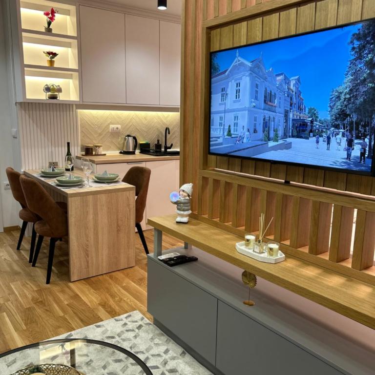 Apartmani Central 3 & Free parking garage - Apartman sa 1 Spavaćom Sobom - 1
