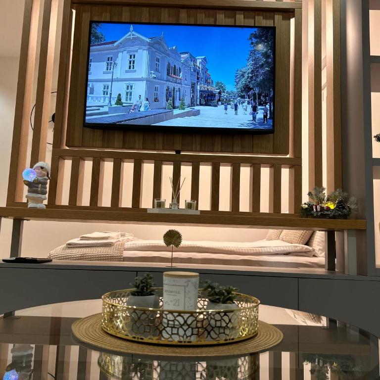 Apartmani Central 3 & Free parking garage - Apartman sa 1 Spavaćom Sobom - 25