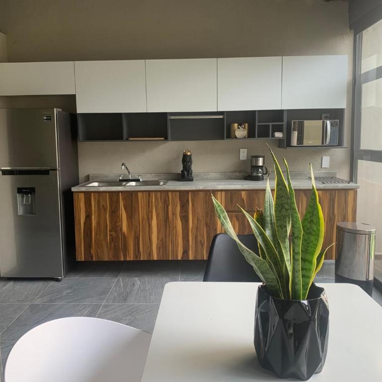 Begonias Loft a 5 Min Del Auditorio Telmex - Vacation Home - 6