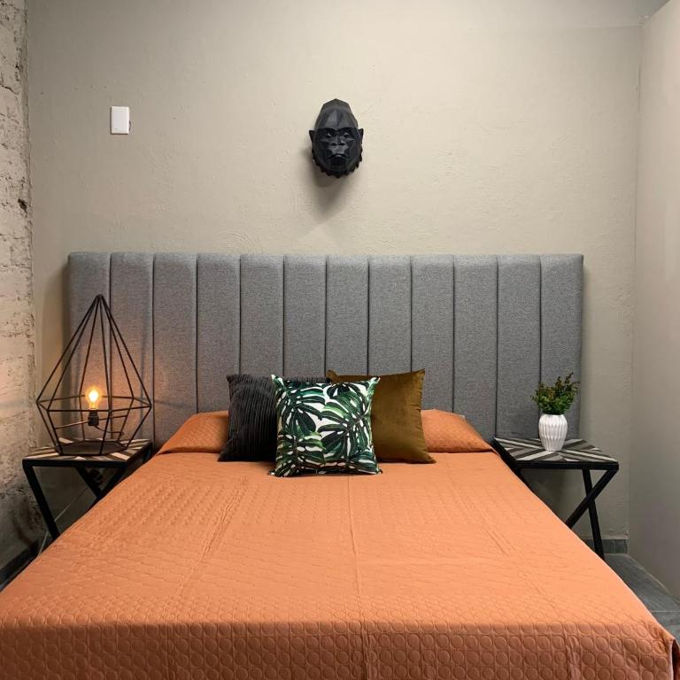 Begonias Loft a 5 Min Del Auditorio Telmex - Vacation Home - 7