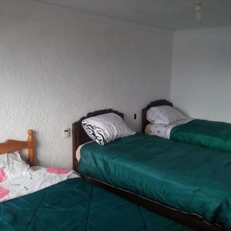 Las Cabañas Lodge - Triple Room with Terrace - 5