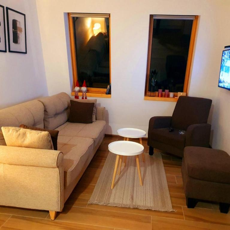 Apartment Holiday Ravna Planina - One-Bedroom Apartment - 3