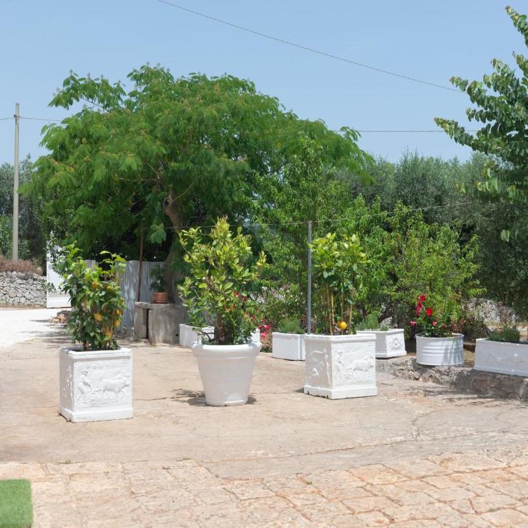 Country House in Puglia with Pool & Pizza Oven - Casa Vacanze con 3 Camere da Letto - 24