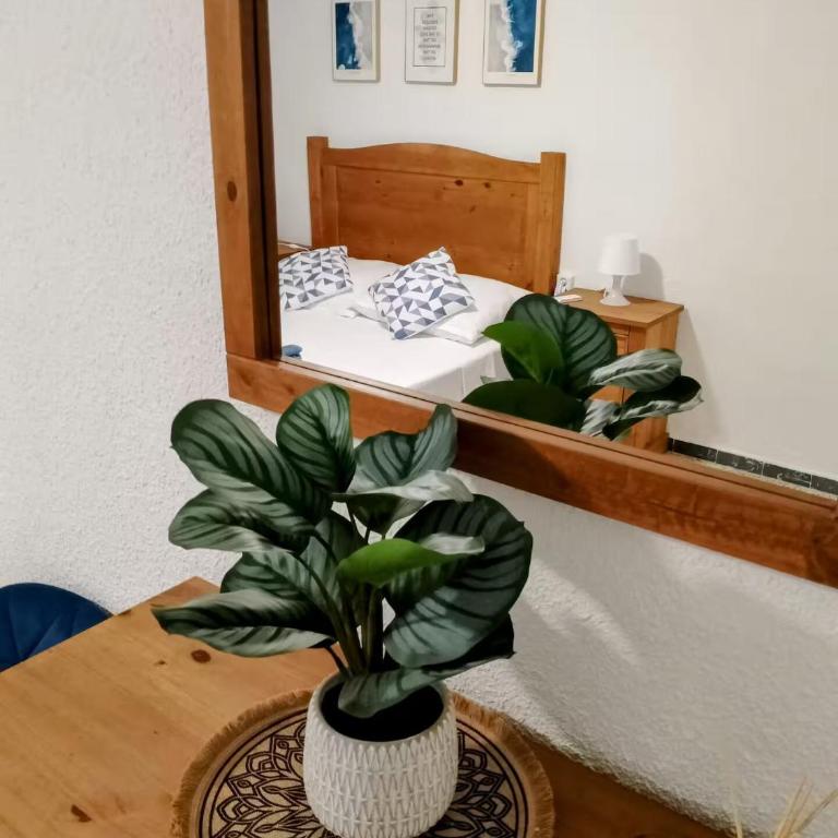 Sol y Mar - Apartamento de 3 dormitorios con vistas al mar - 22