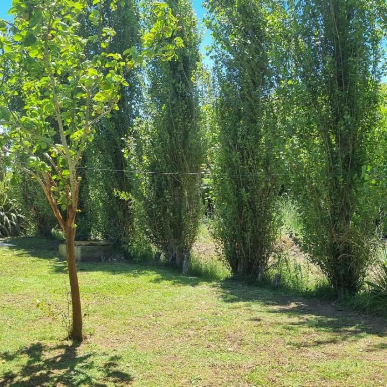 Costa del Este 1 - Apartamento de 2 dormitorios - 2