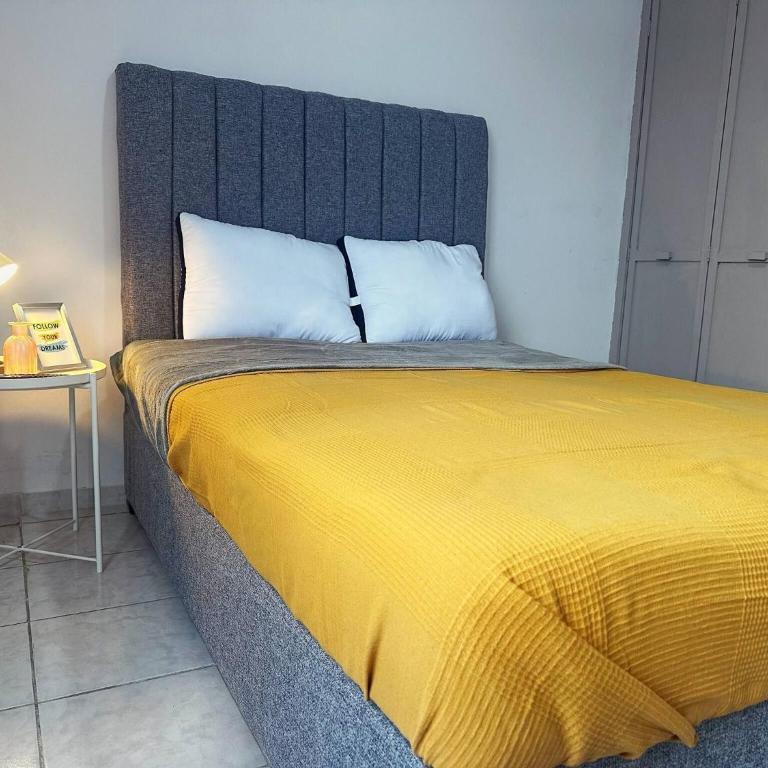 Santa Teres Apartment Near Chapultepec area - Apartment - 11