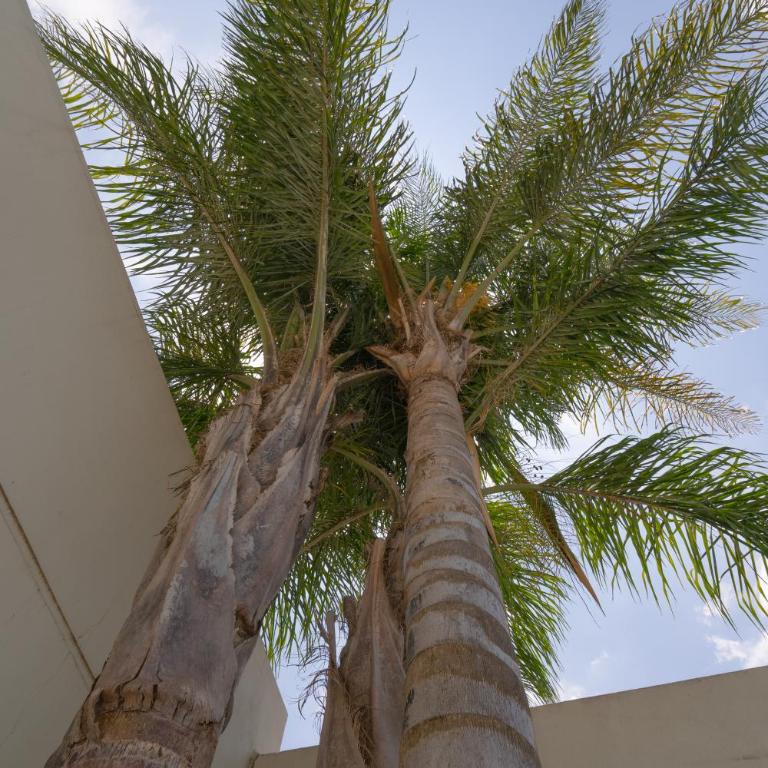 Complejo Solares - Apartamento - Planta baja - 18