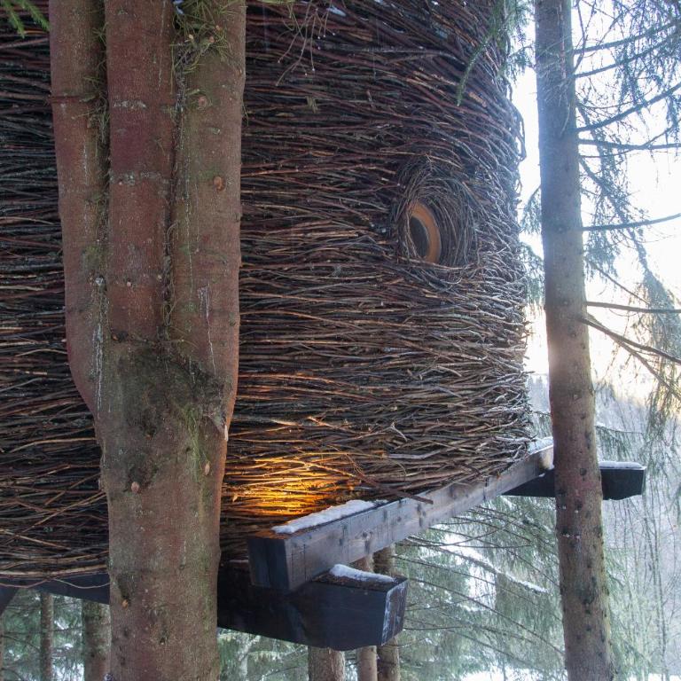 Cabane entre terre et ciel - Cabane dans les Arbres Nid - 11